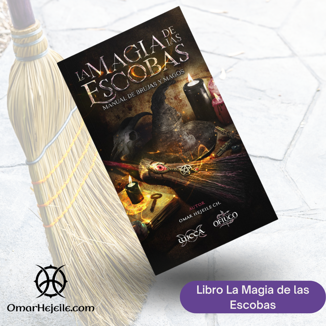 Libro La Magia de las Escobas: Manual de Brujas y Magos