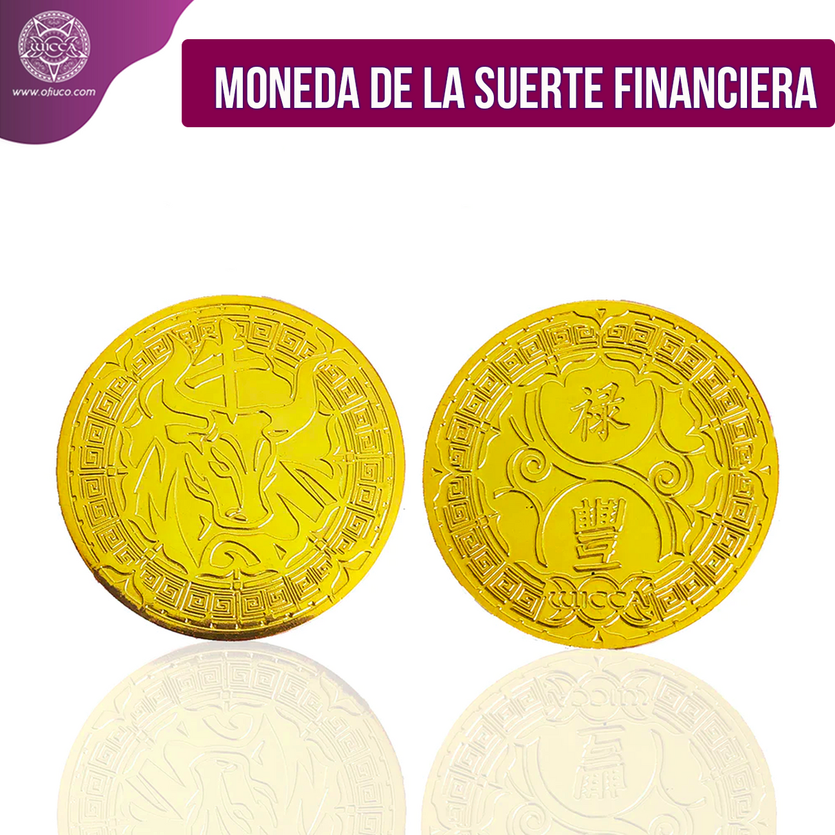 Moneda de la Suerte Financiera