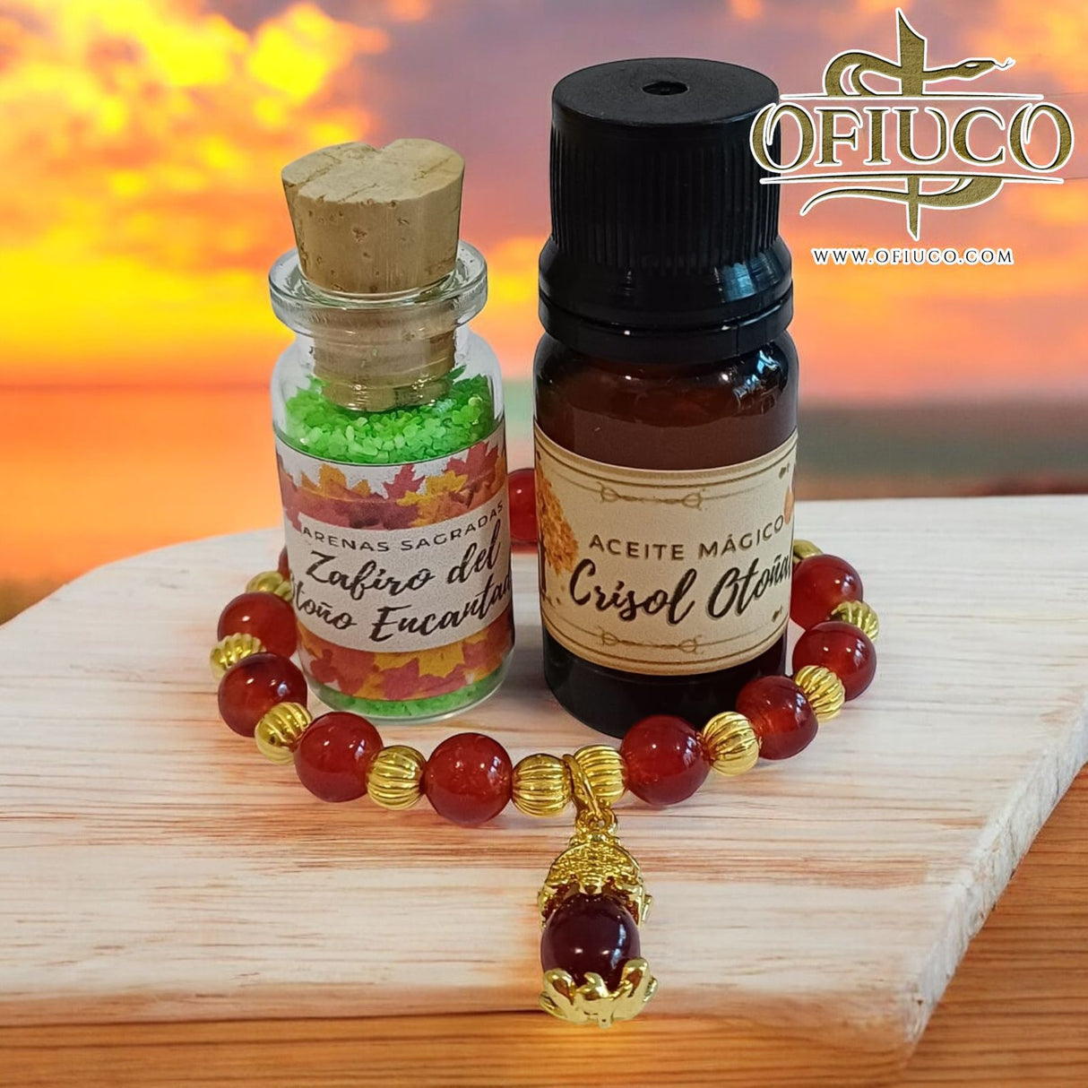 Ofiuco Aseguranza Jin Chan