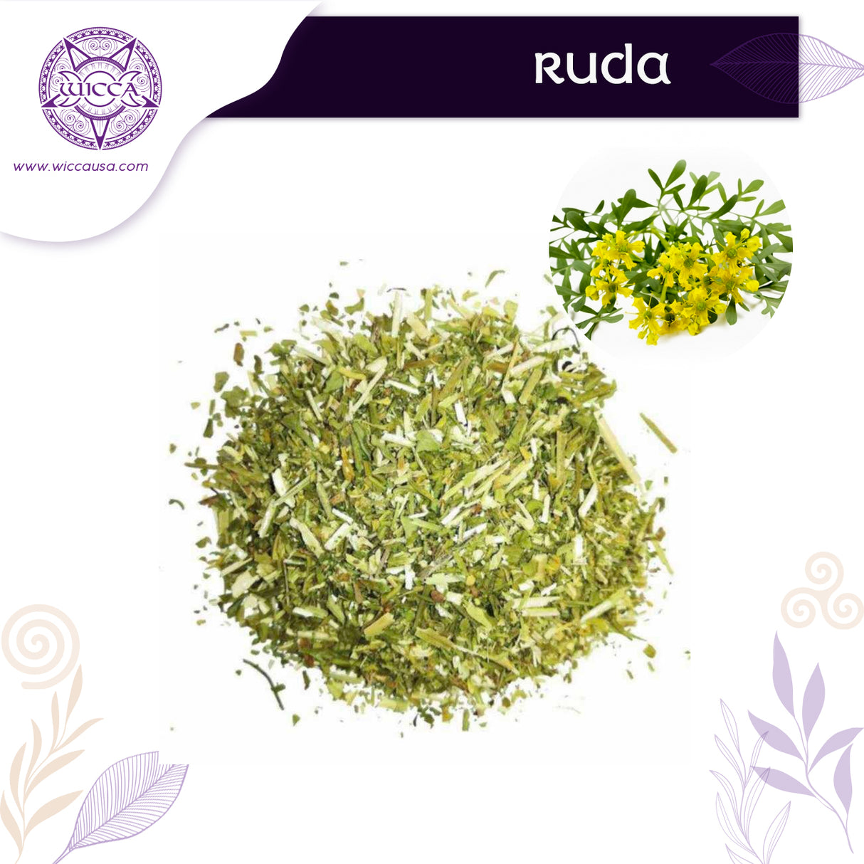 Herbolario: Ruda Para Transformar