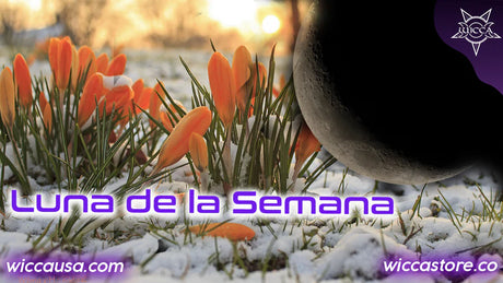Luna Menguante de la Semana Fin del invierno e inicio de la primavera